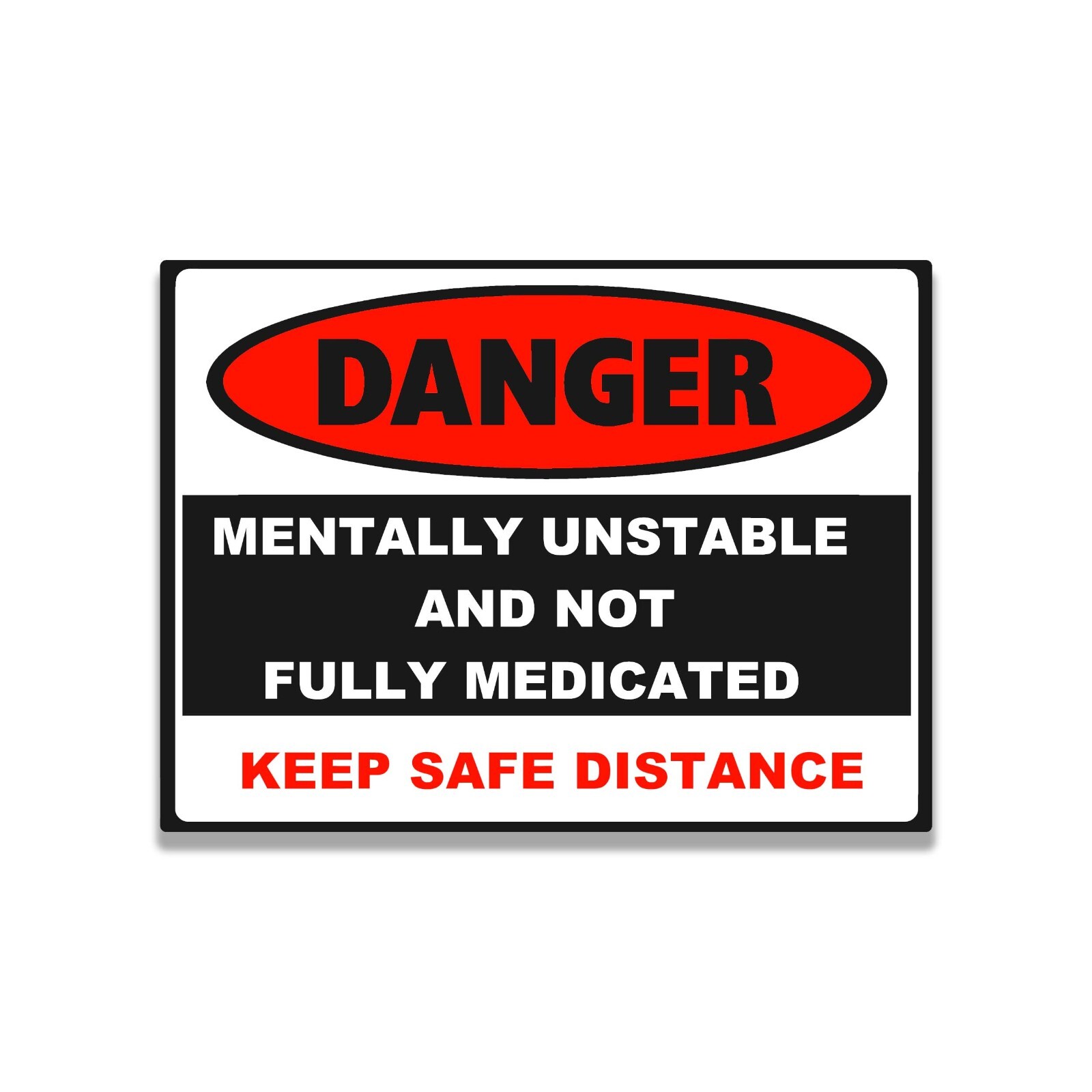 Collectible Decals Danger Mentally Unstable Vinyl Sticker for Laptops Car Window