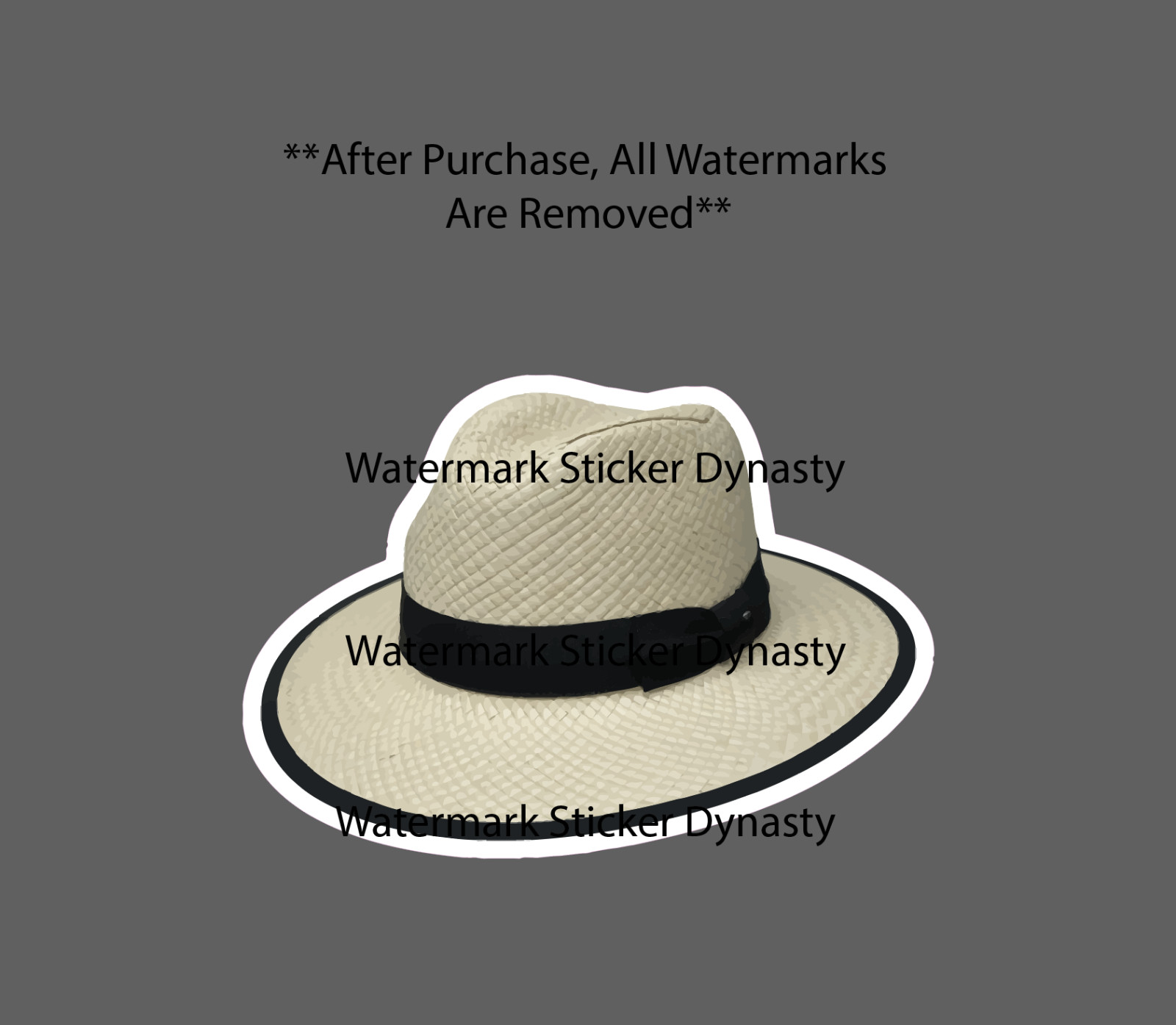 Straw Hat Sticker Waterproof Decal Beach Outdoor Travel Ocean Fashion Gift NEW