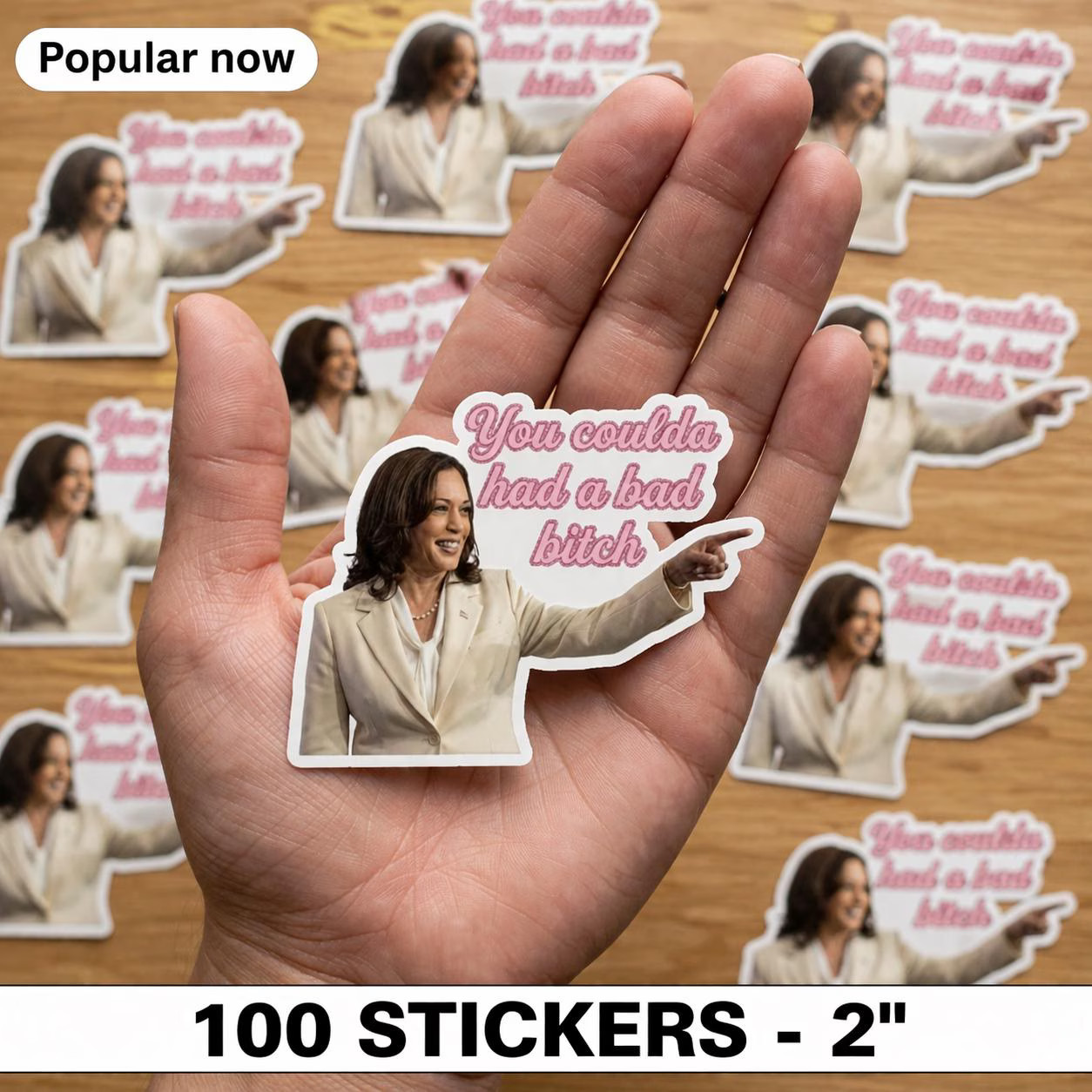 100 Pcs I Did That Anti-Trump Sheet Sticker, Kamala Harris â€œYou Coulda Had a B