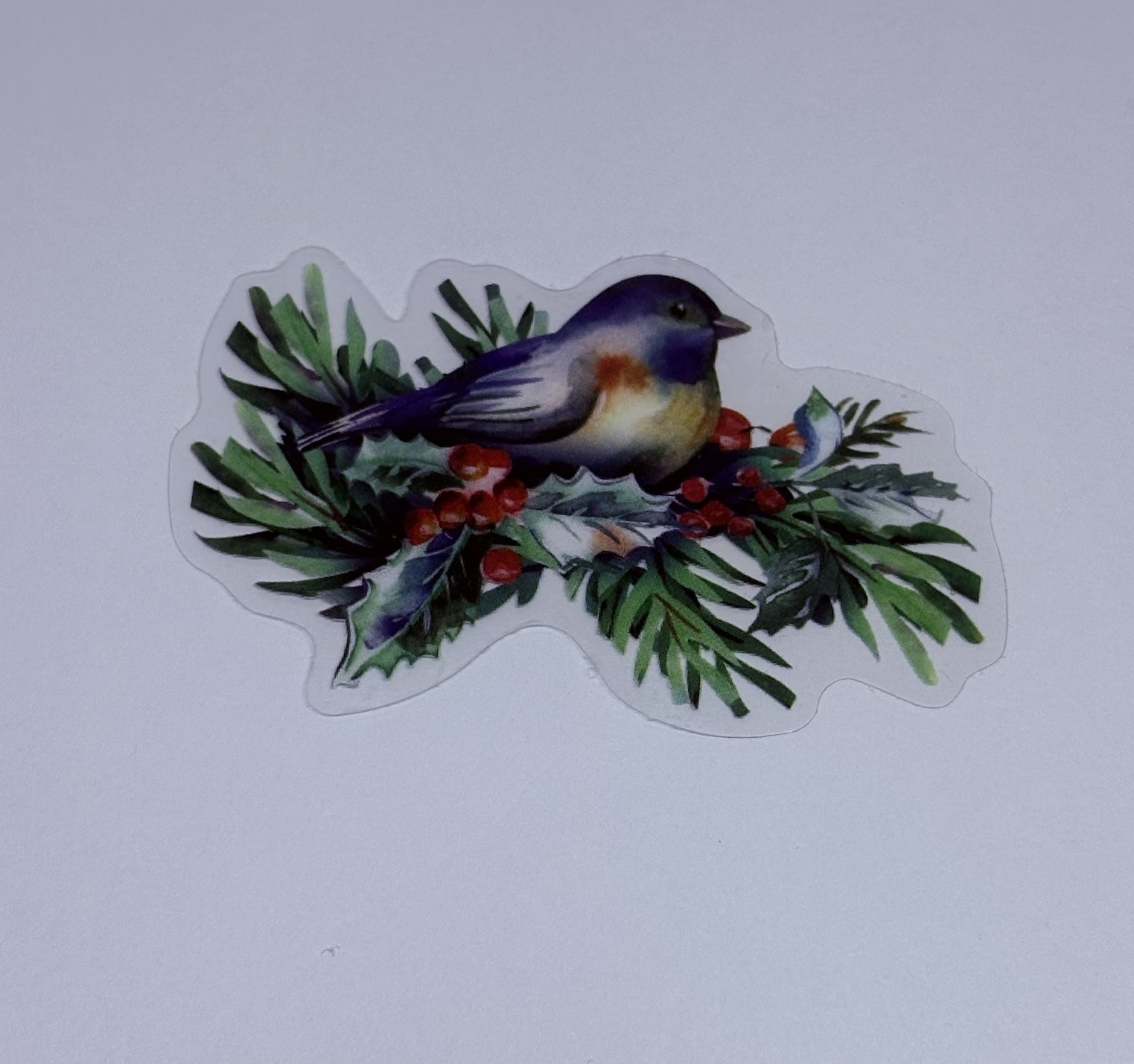 Blue Bird On Holly Branch Sticker Animal Art Transparent Journal Decal VinylTc6