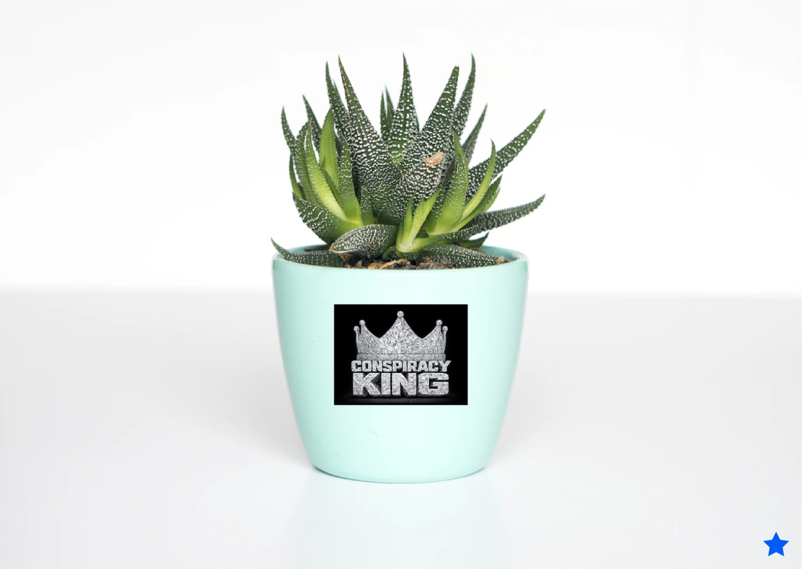 Conspiracy King Decal Sticker Tin Foil Hat Crown Theory Truth Awake Aluminum Gov