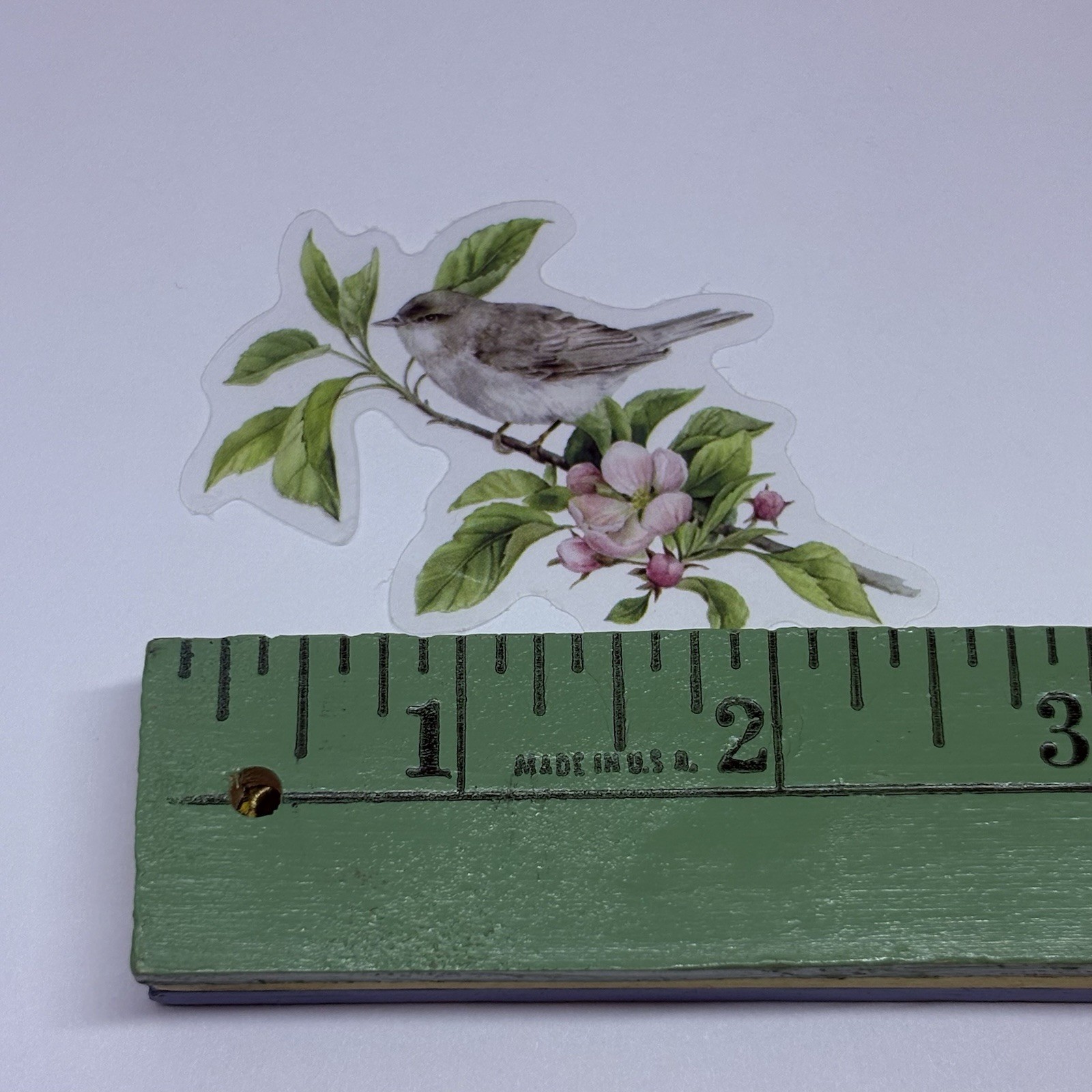 Whitethroat Bird On Tree Sticker Animal Art Transparent Journal Decal Vinyl Tc6