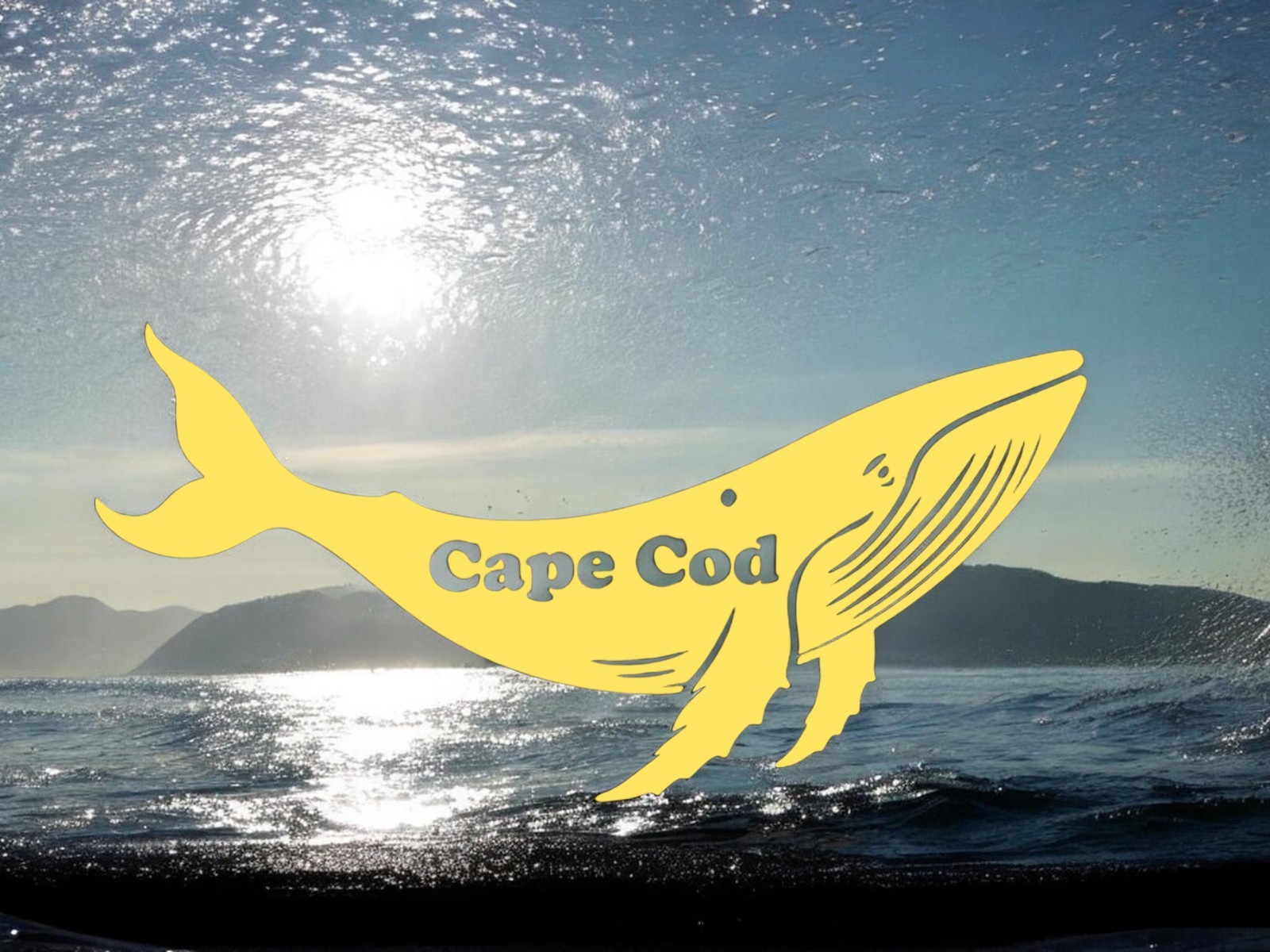Humpback Whale Cape Cod Decal for car Windows Laptops Smooth Surfaces