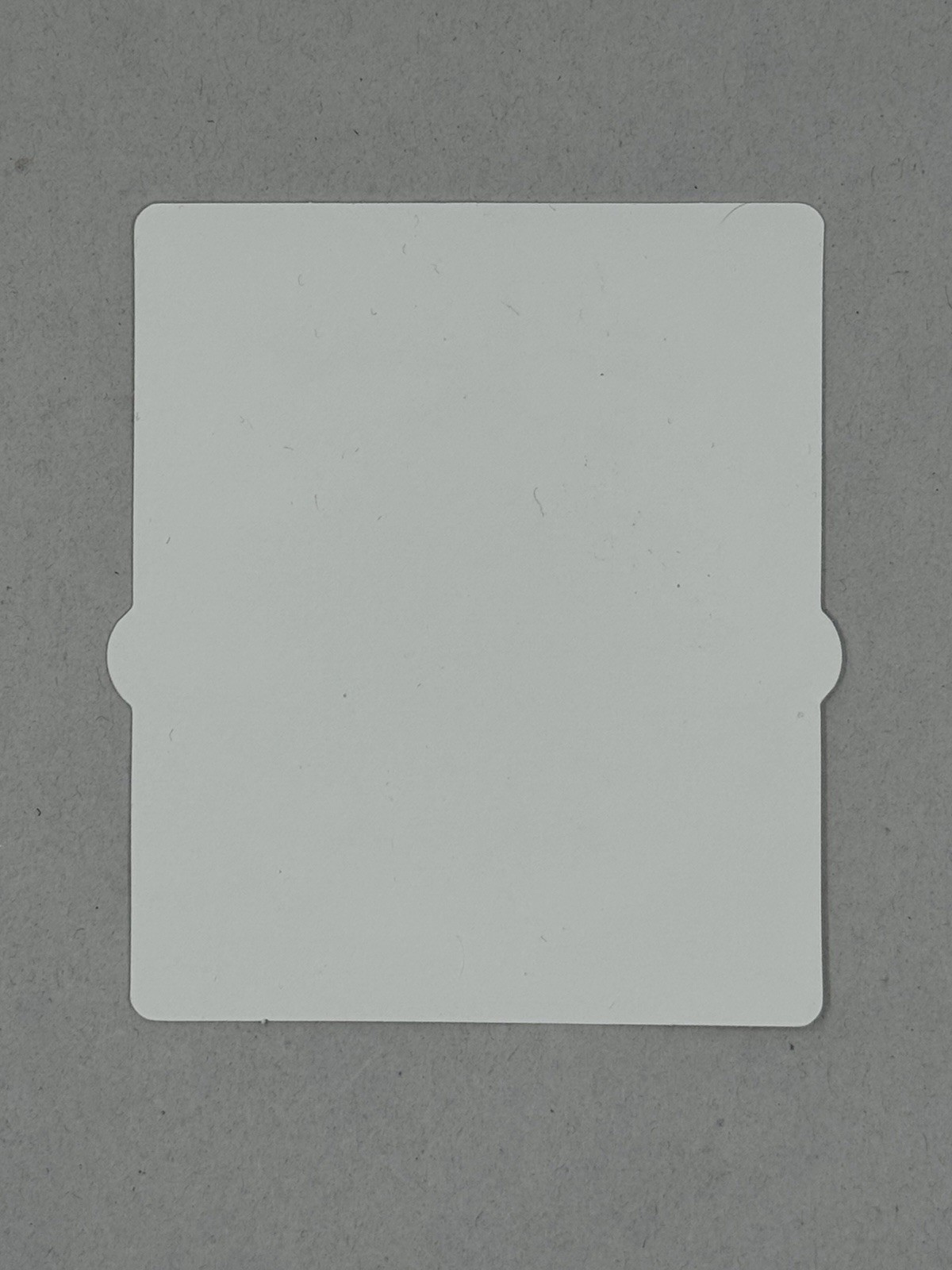 PEARL JAM STICKER Decal Dark Matter World Tour 2024