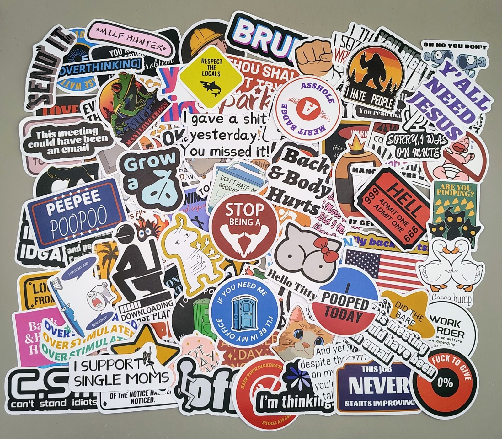 100 Pcs Sarcastic Adult Humor Stickers Pack Funny Meme Vinyl Decals Joke Lot
