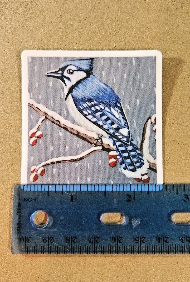 Blue Jay Sticker Matte Vinyl, Original Art, 2.5" Square Sticker of Bird Art