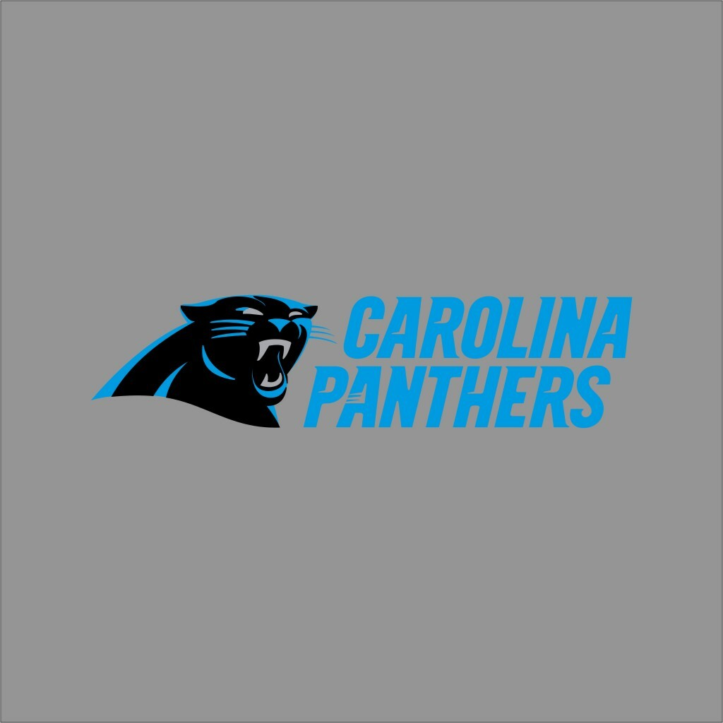 Carolina Panthers #3 NFL Team Pro Sports Vinyl Sticker Decal Car Window Wall