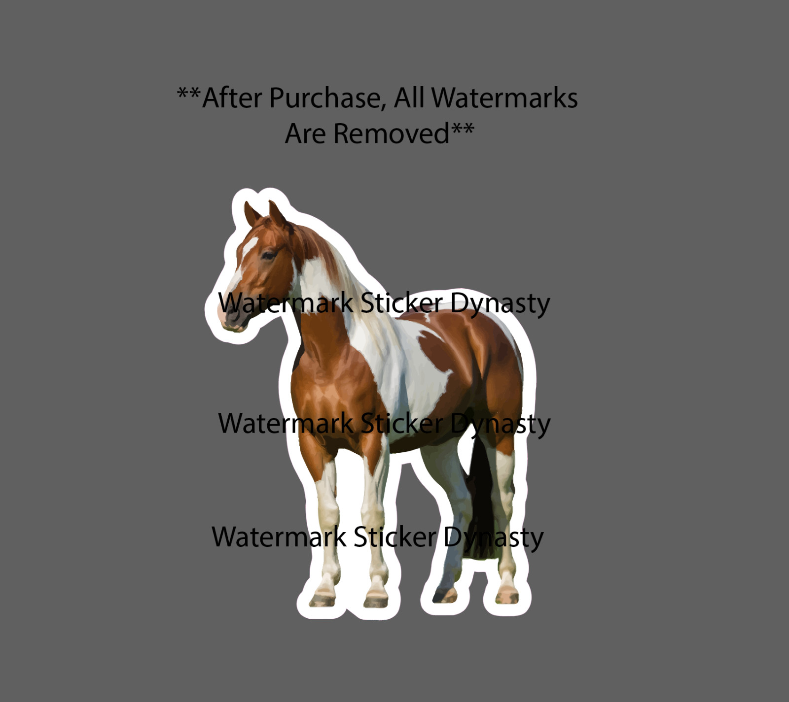 American Paint Horse Sticker Waterproof Decal Farm Countryside Gift NEW