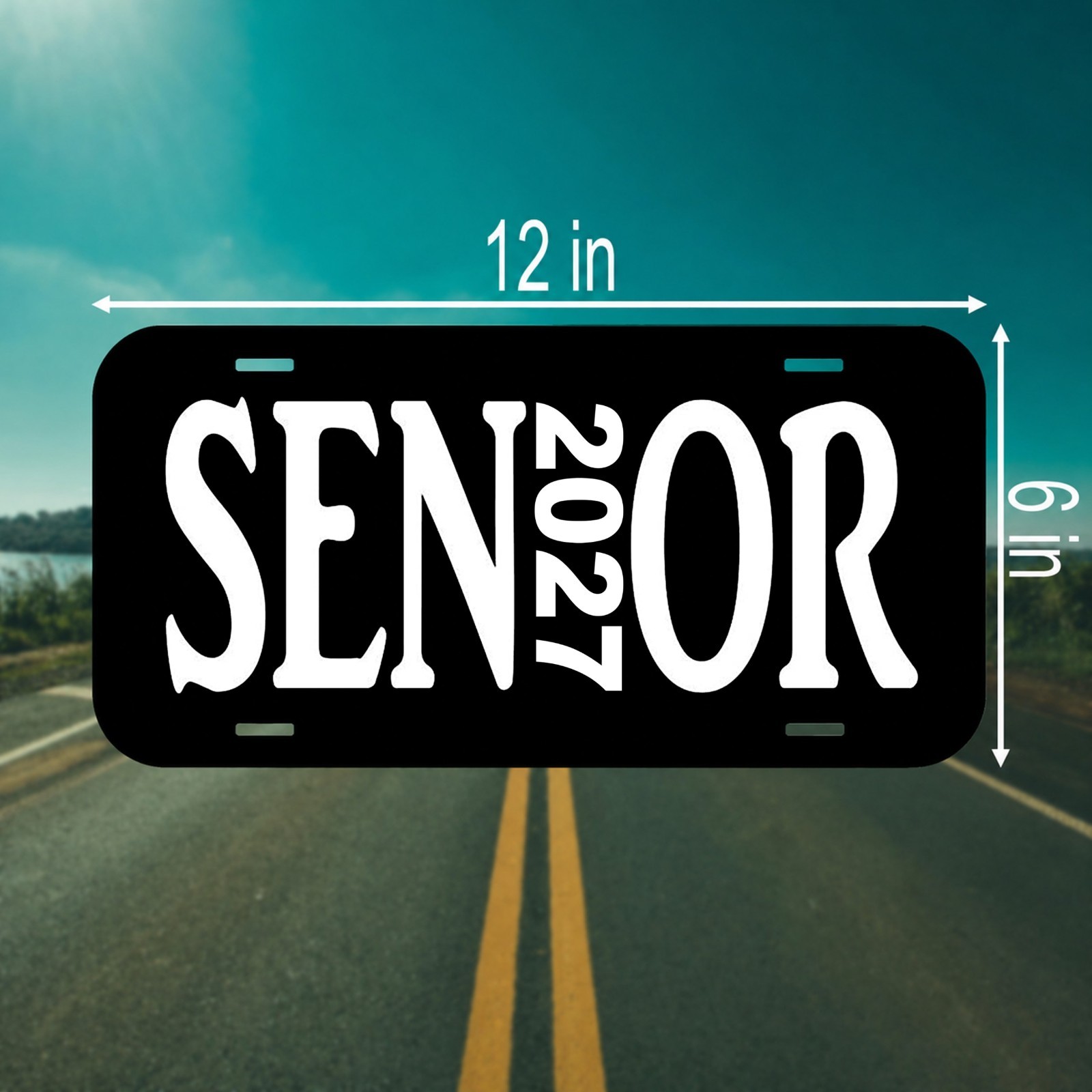Senior Class of 2027 License Plate for Car