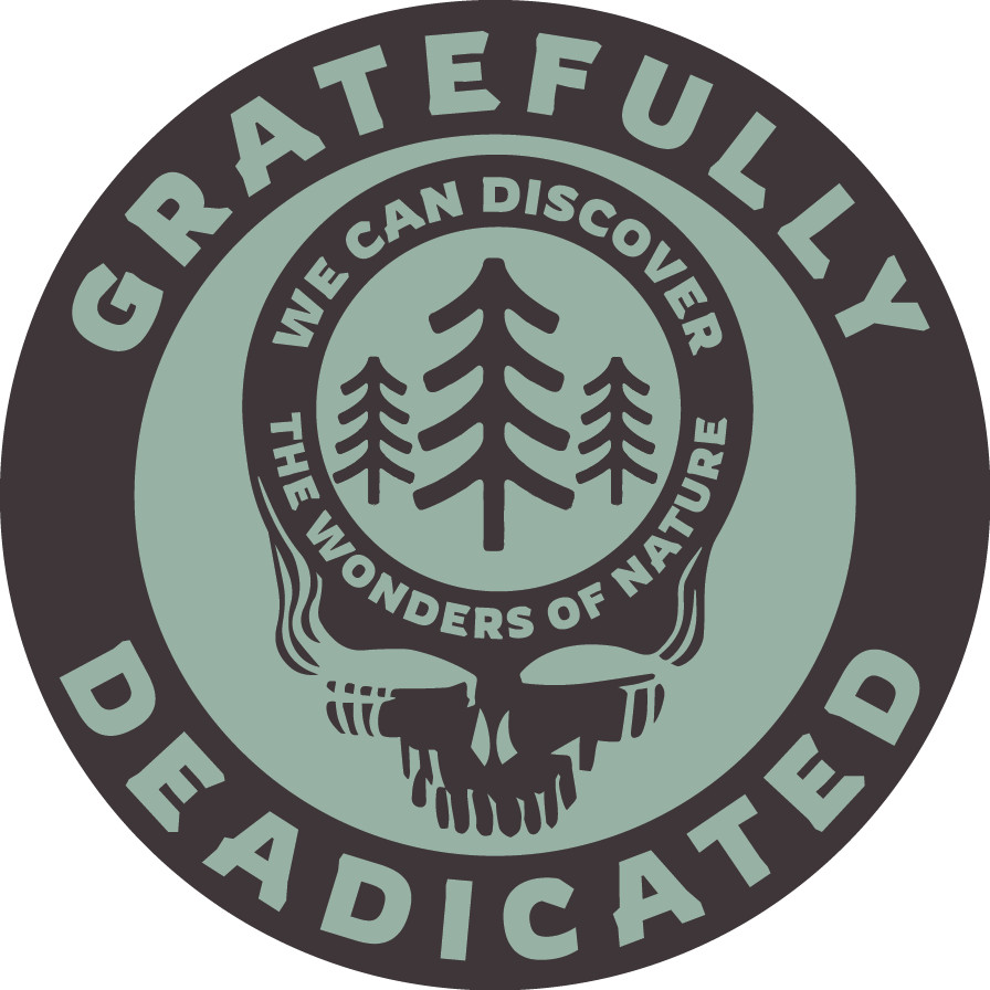Grateful Dead Mint Green Stealie Sticker Pine Forest Vinyl Decal Waterproof