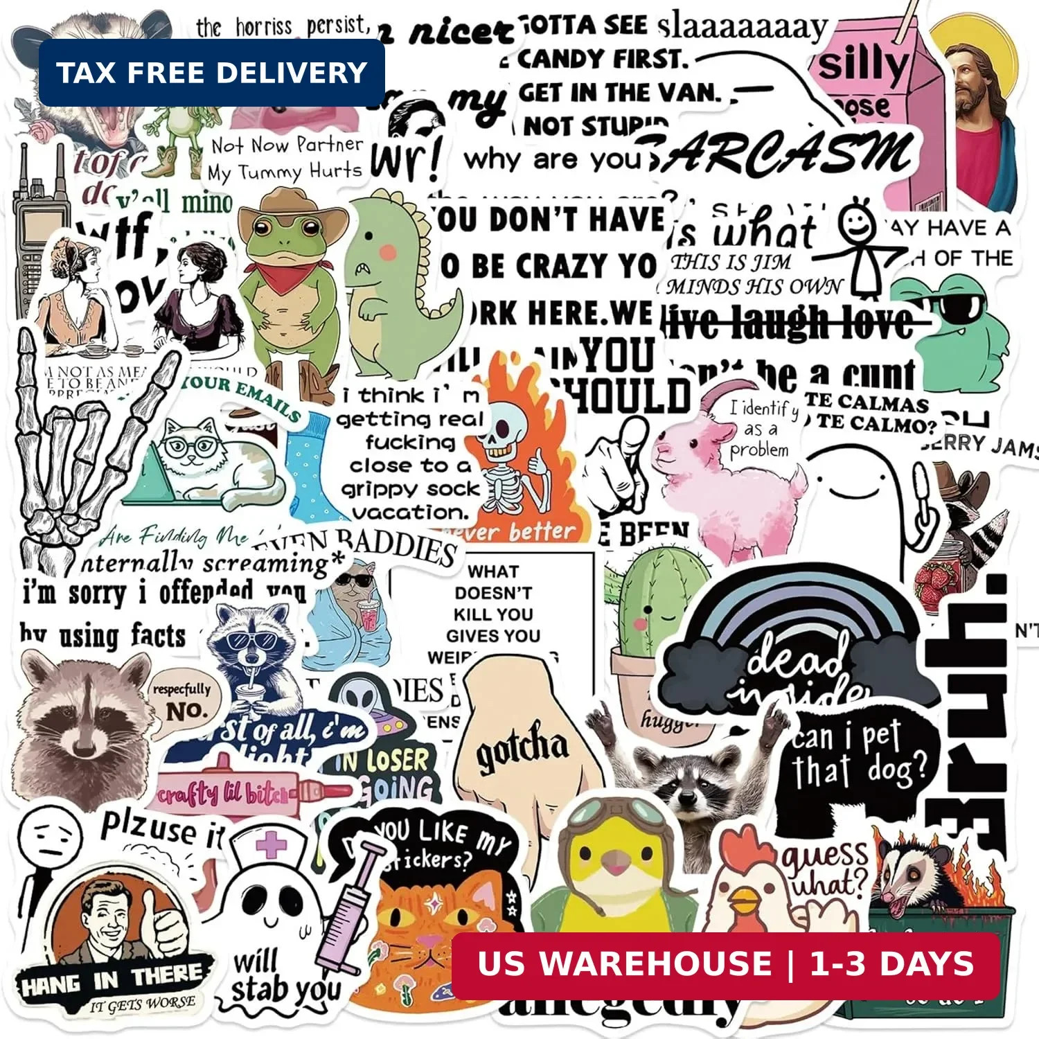 50Pcs Funny Meme Stickers Adults Dirty Sticker for Kids Teens Adults, Snarky Vin