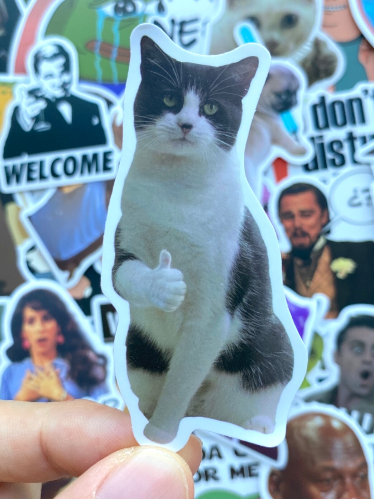 5-100 pcs Meme Stickers, Hype Trendy Funny Popular Car Bumper Laptop Phone Decal