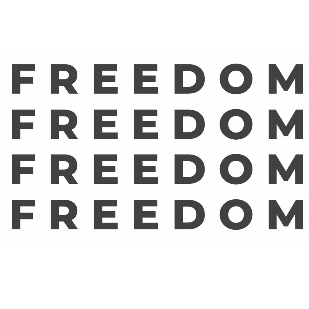 Freedom Sticker Charlie Kirk True American Hero Patriotism Die Cut Vinyl Decal