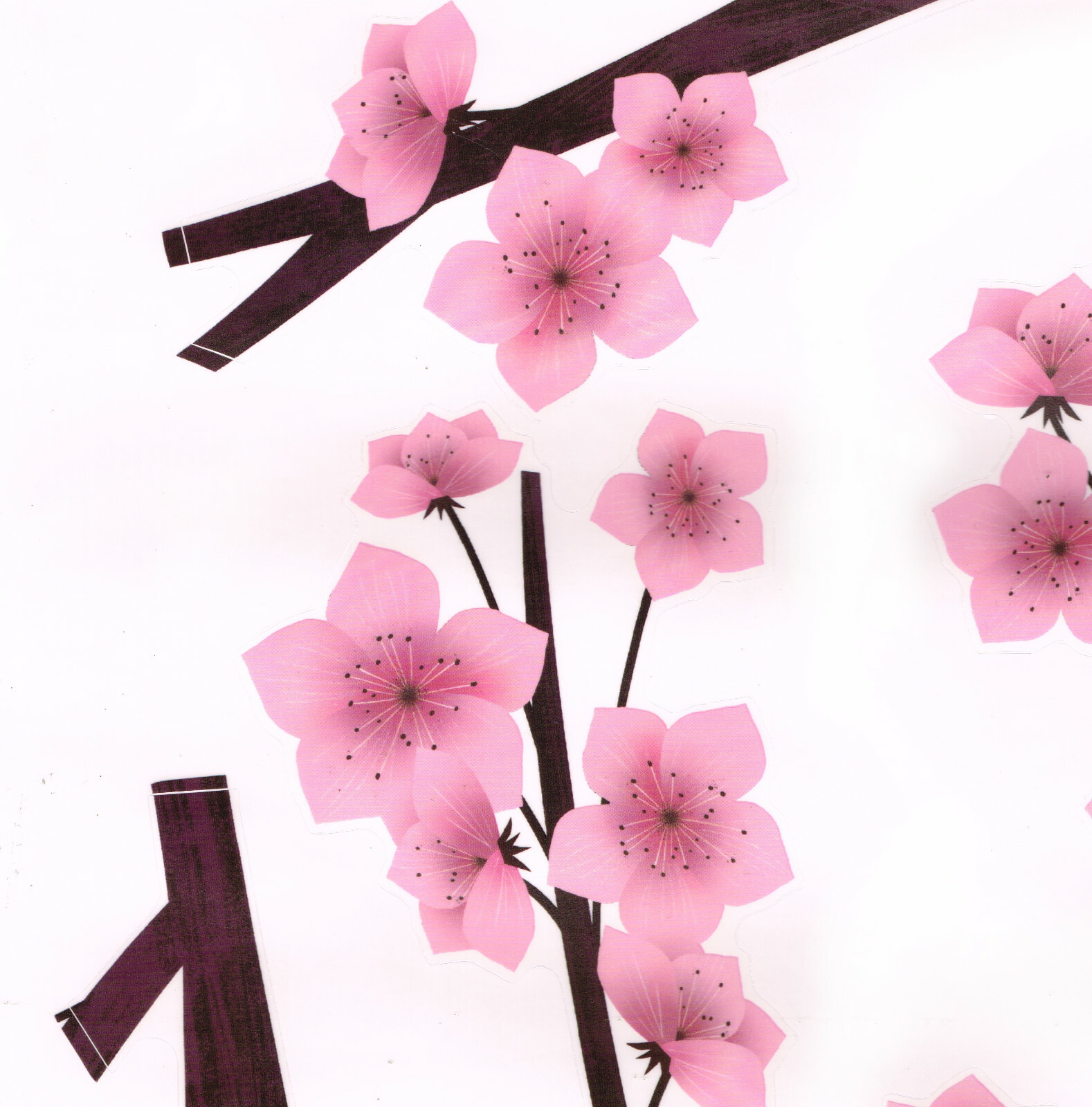 CHERRY BLOSSOM Pink Flower Wall Art Mural Decals Appliques Stickers 53" x 27"