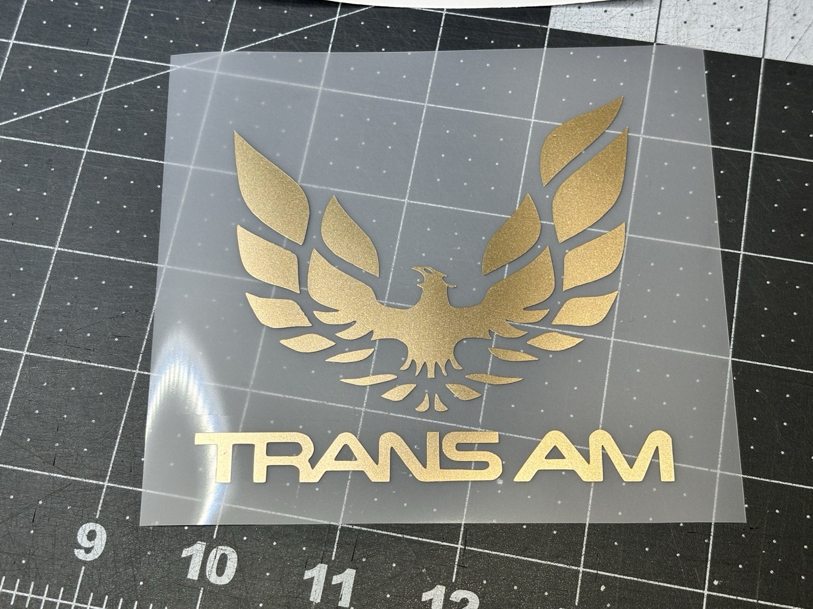 Trans Am w/Firebird Die Cut Vinyl Decals (Style 1) Many Sizes/Colors Pontiac