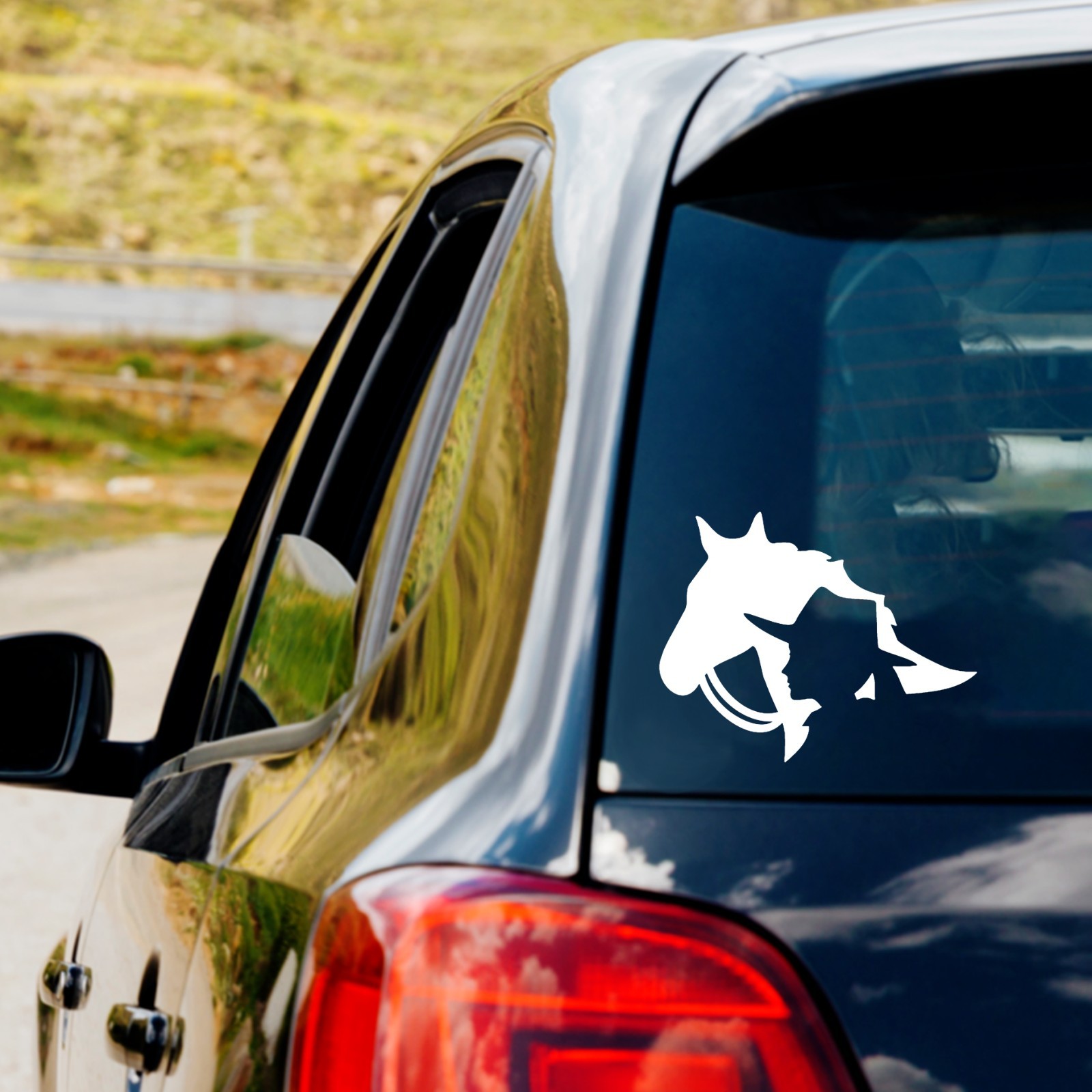 Horse Cowgirl Vinyl Decal Sticker Car Truck Window Laptop Water Bottle Sticker