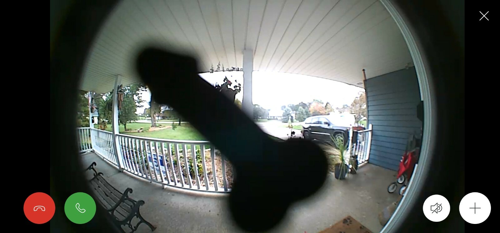 Prank Penis Camera Stickers  – dick sticker 