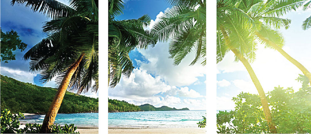 Palm Tree View Mural Wallpaper Window Beach Ocean Wall Decal Living Room, c64