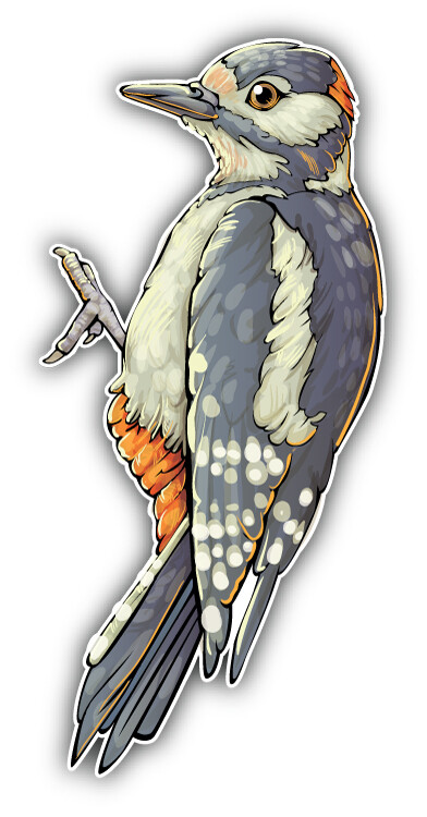 Woodpecker Car Bumper Sticker Decal