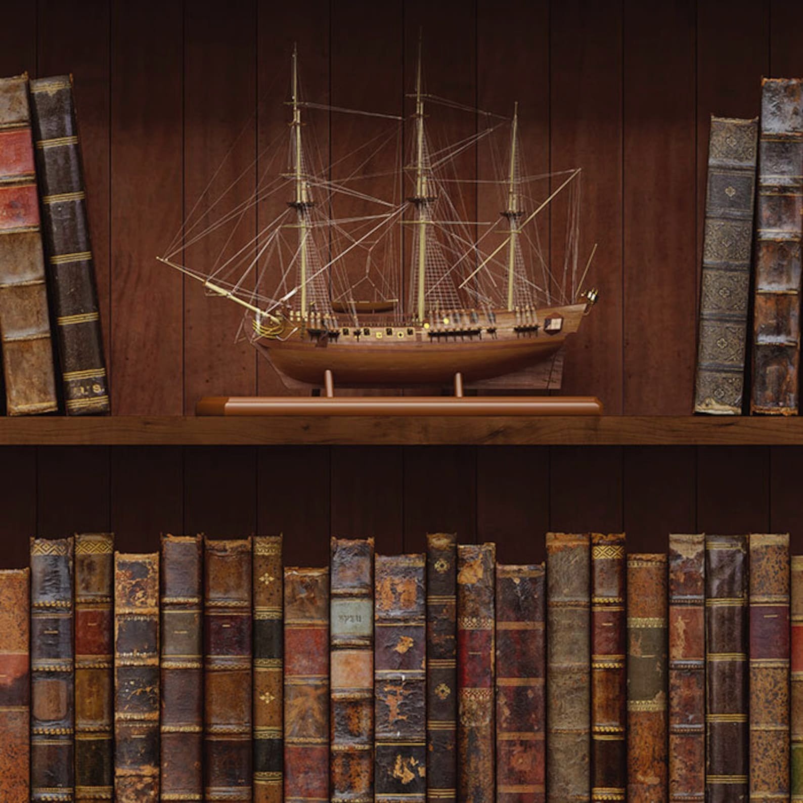 Dementia Friendly Door Mural – Fake Bookshelf | Antique Books | Renter-Friendly