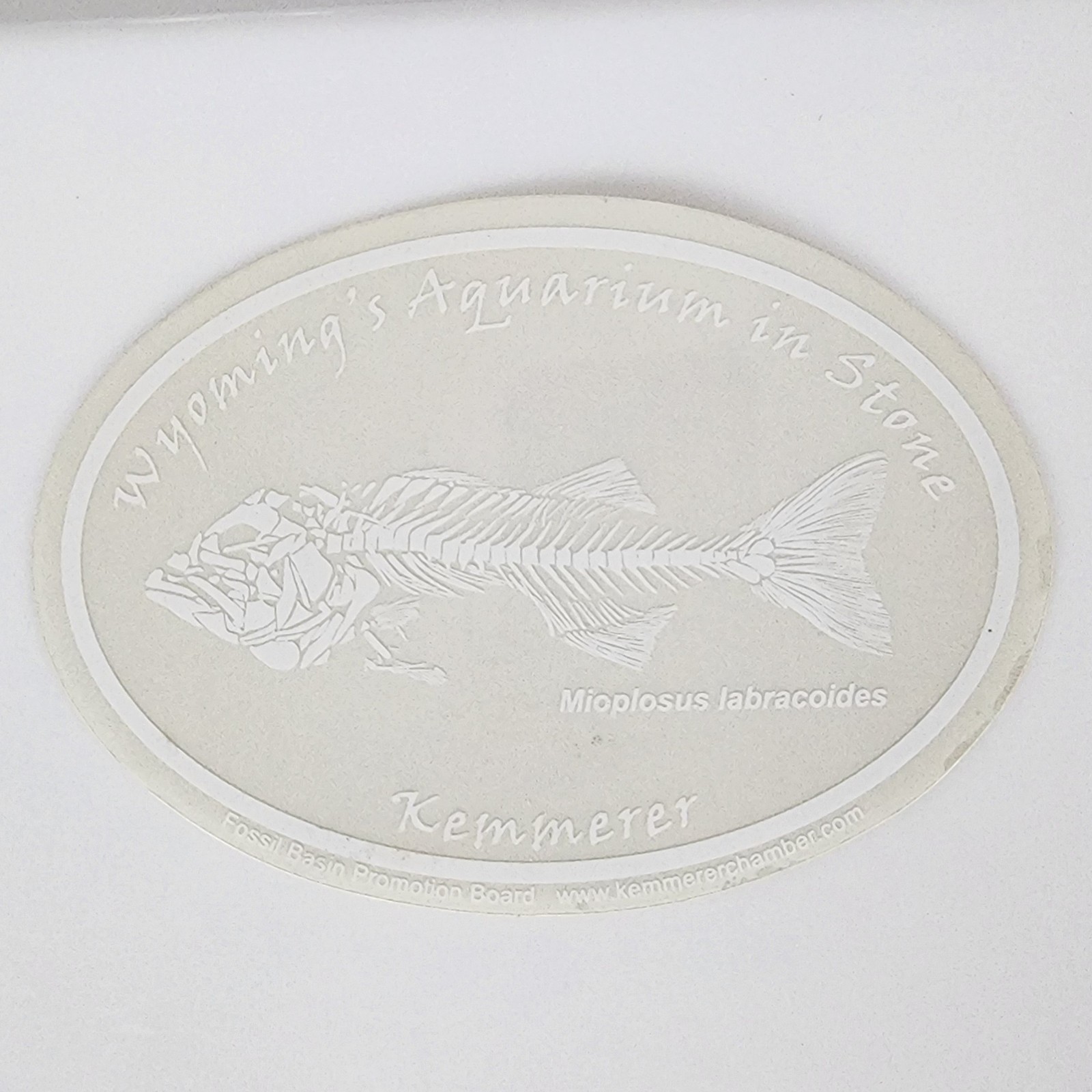 Fossil Butte National Monument WY An Aquarium in Stone Kemmerer Decals CLEAR/WHT