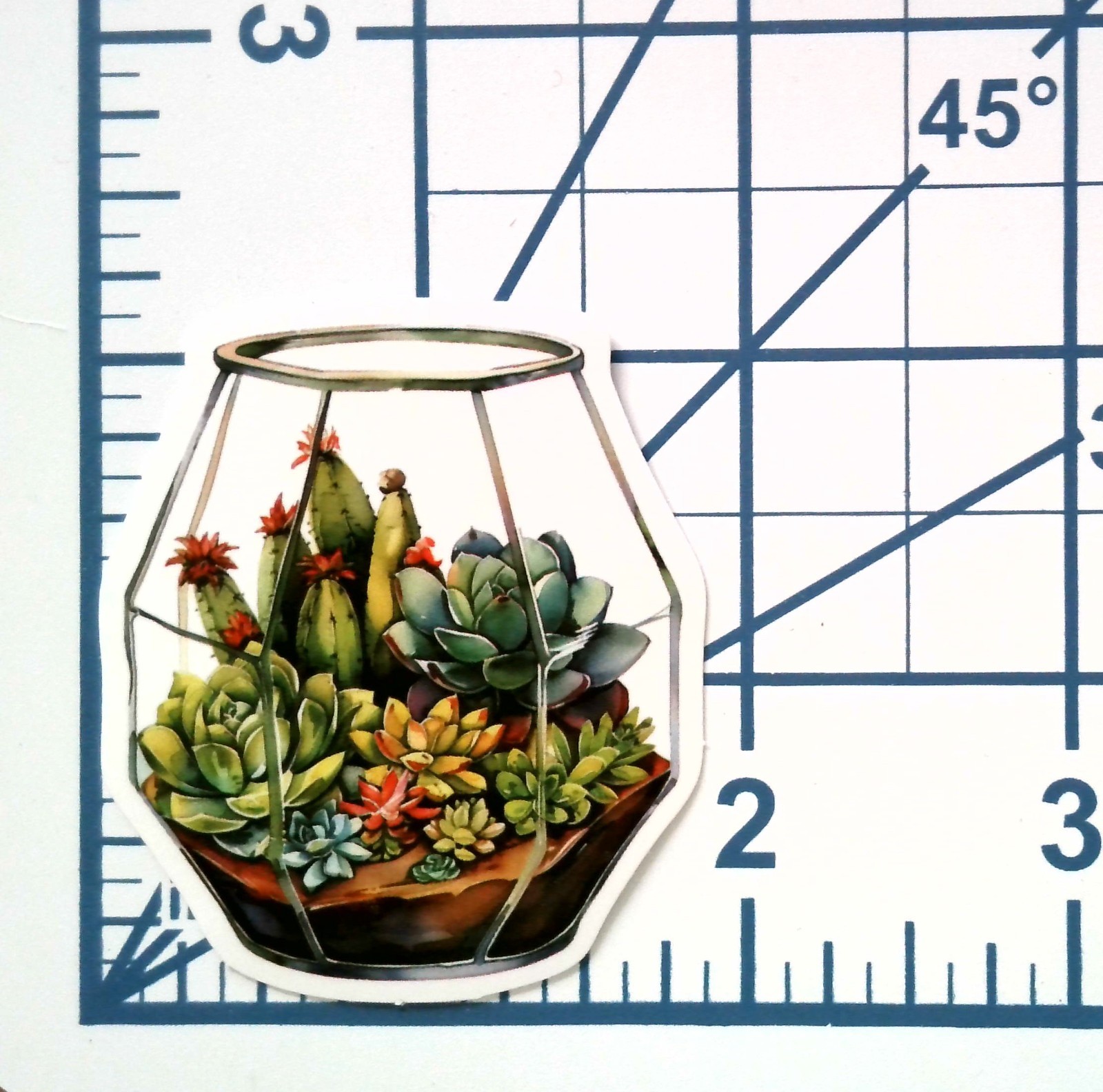 Vinyl Sticker Die Cut Geometric Terrarium Decal Succulent Cactus Gift Laptop
