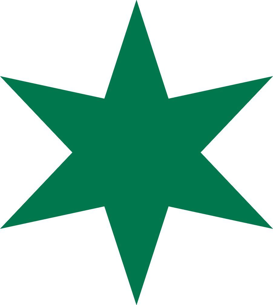 Star Shape 6 Point Vinyl Decal Car Bumper Sticker 6pt Star Wall Art Laptop Label