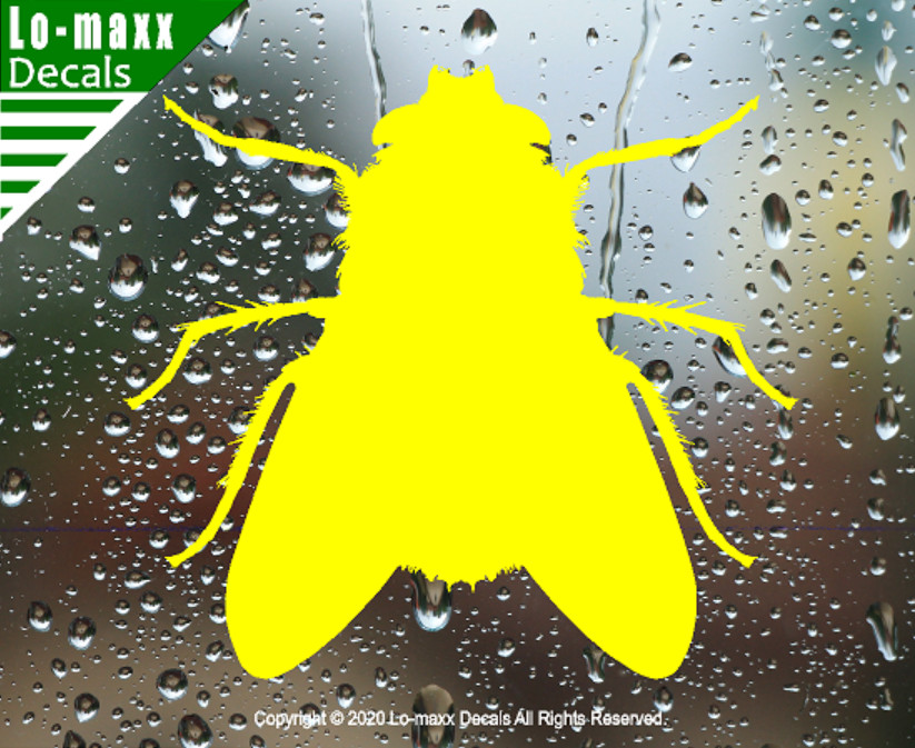 Fly Housefly Original Custom Graphic Art Superior Quality Die Cut Vinyl Decal