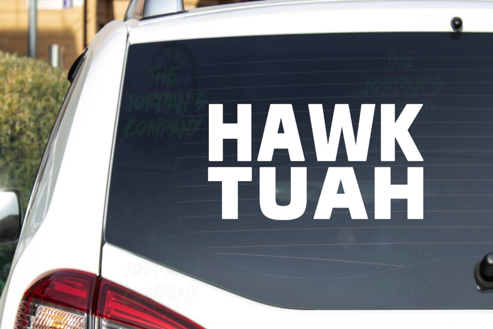 HAWK TUAH Spit On That THANG -CNC cut Decal Vinyl Sticker-Pic from multi colors!