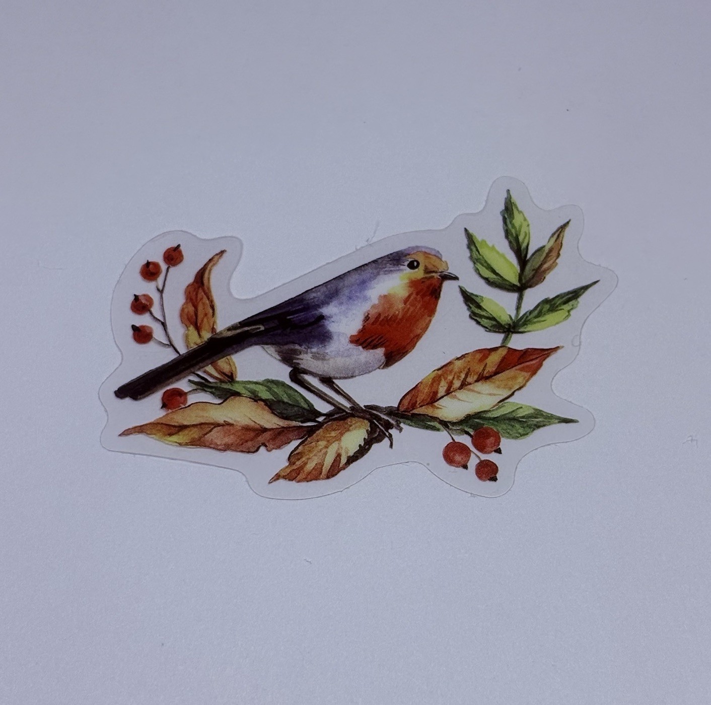 European Robin On Tree Sticker Animal Art Transparent Journal Decal Vinyl Tc6