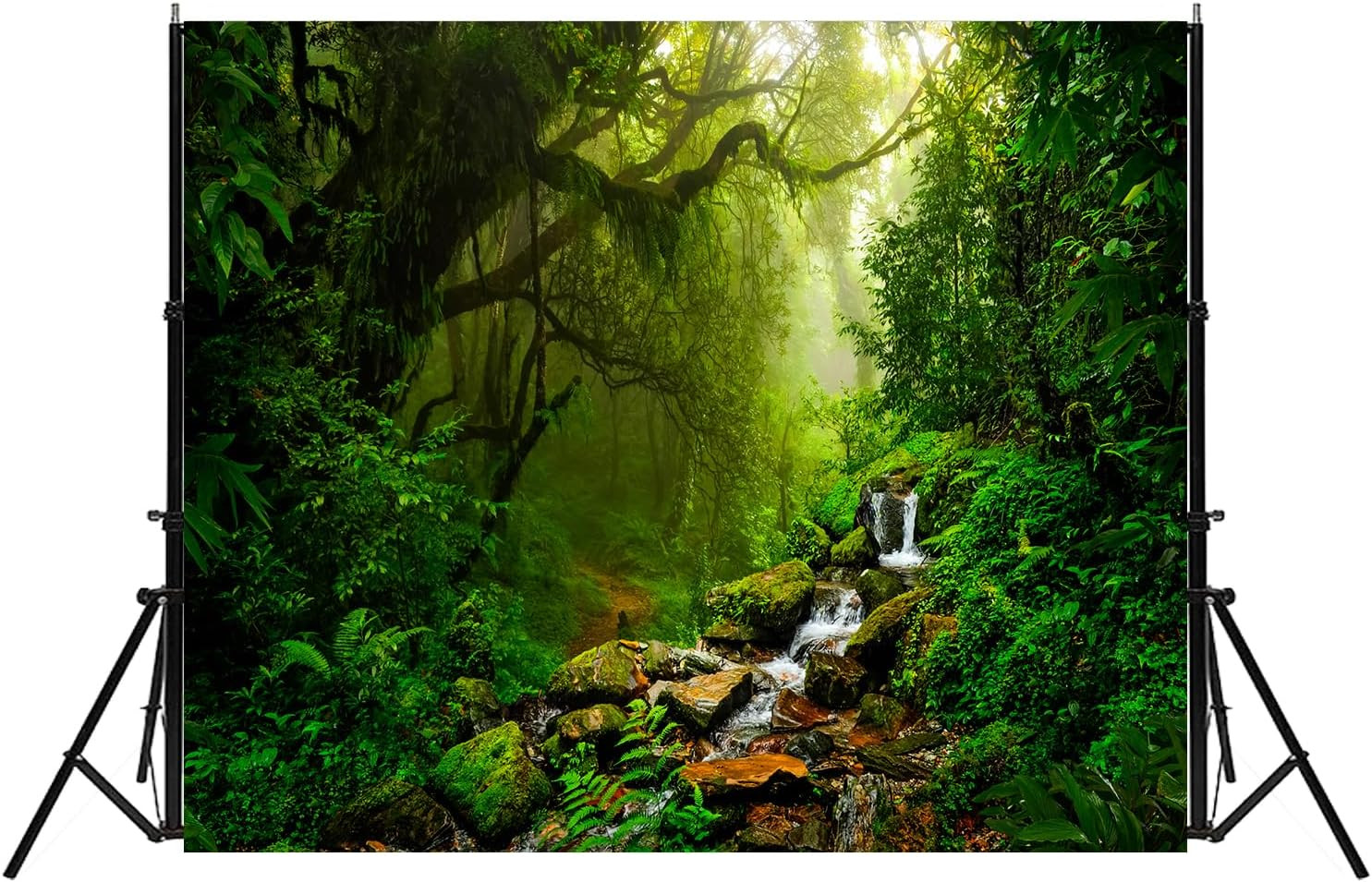 Tropical Jungle Backdrop Rain Forest Evergreen Forest Small Waterfall Photograph