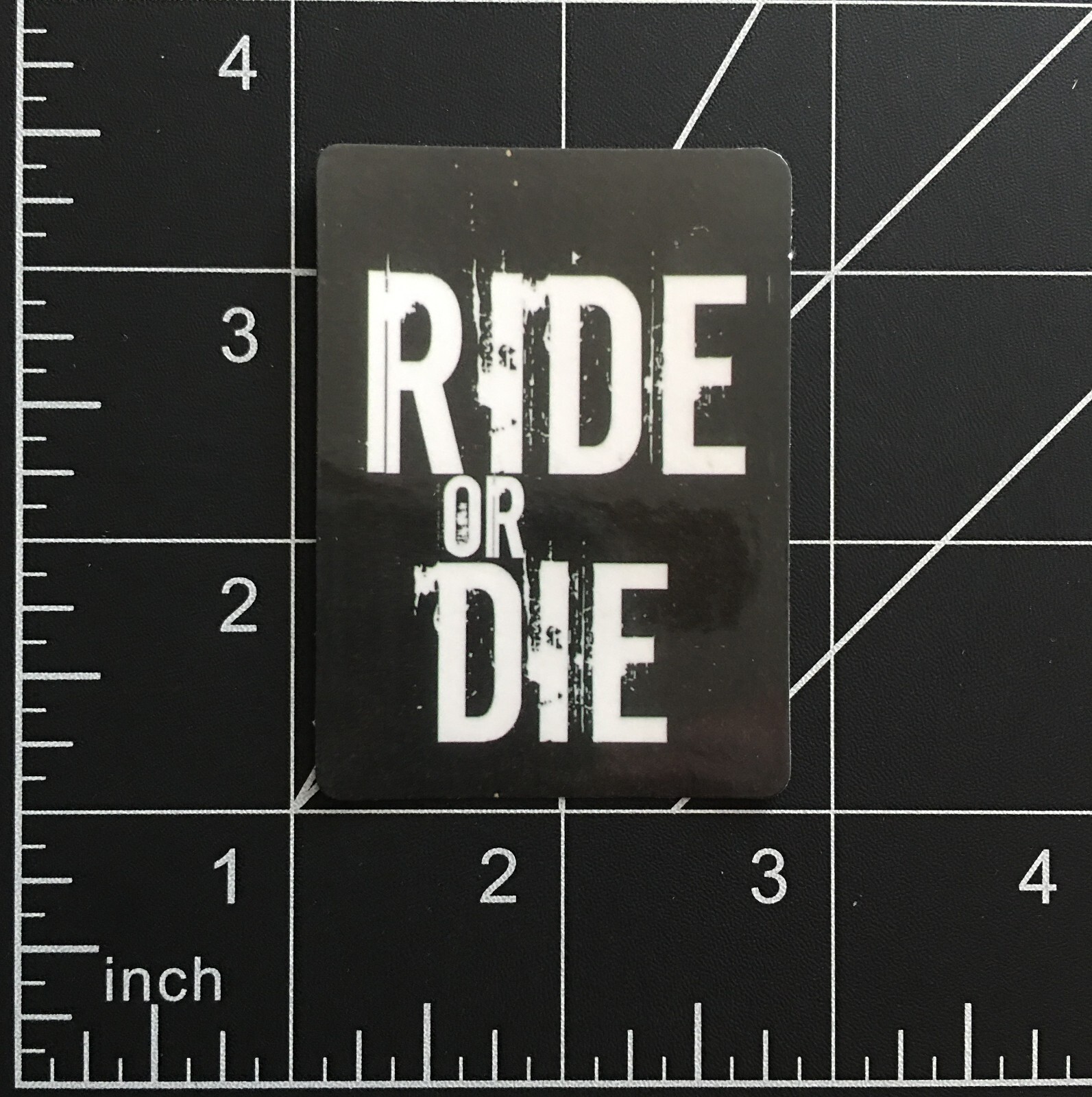 Ride or Die Vinyl Sticker Motorcycle Slogan Black White Rectangle Medium Size