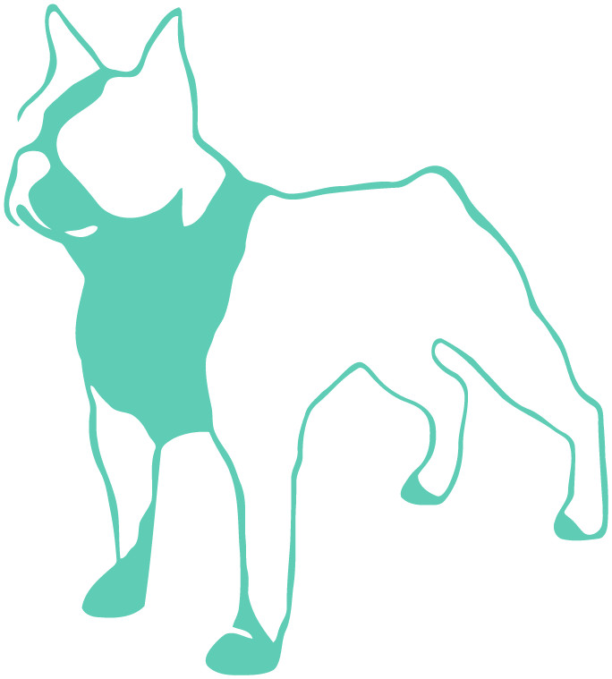 Boston Terrier Die Cut Vinyl No Background Multiple Colors Decal Made USA