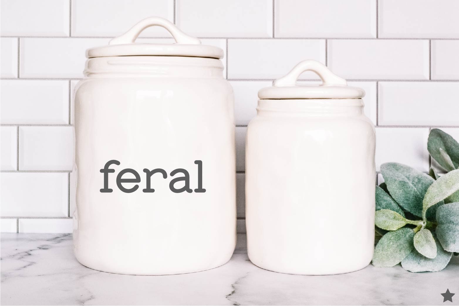 Feral Decal Sticker Funny Out of Control Wild Adult Life Crazy Goth Emo Kid Teen