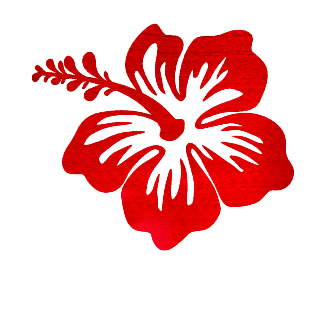 Hibiscus Flower