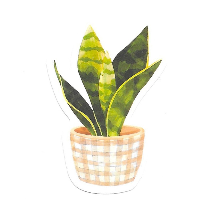 Snake Plant Sansevieria Vinyl Sticker Houseplant Boho Decor Pot Leaf Decal