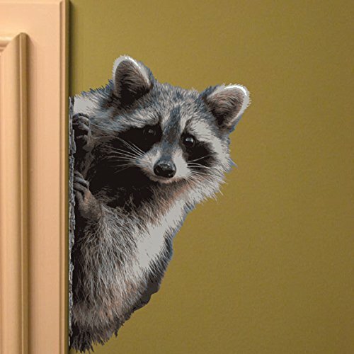 Raccoon Peering Around Wall Decal – 7" wide x 11" tall