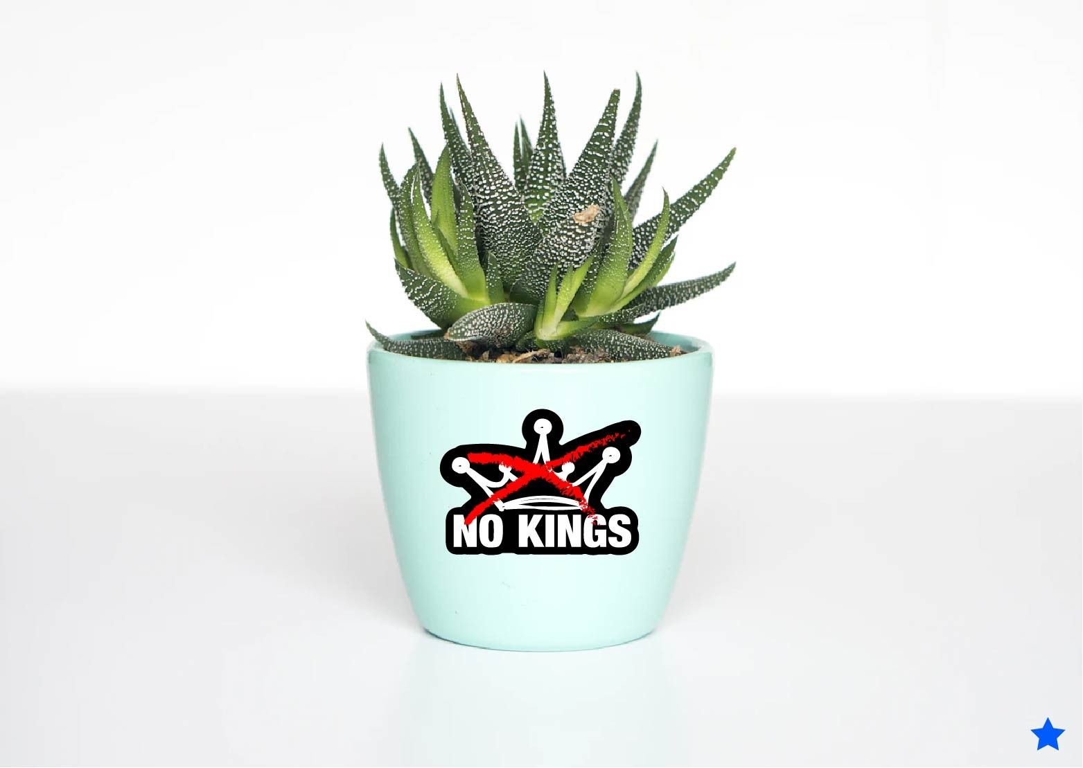 No Kings Decal Sticker Protest Anti MAGA Trump Ice 47 King Peaceful Crown FDT