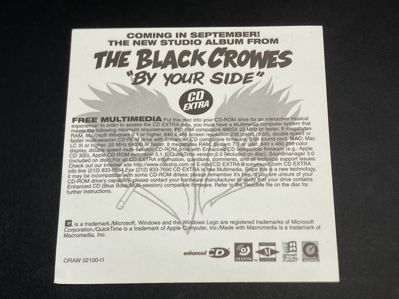 '90s The Black Crowes Vintage By Your Side Sticker ~ Rare