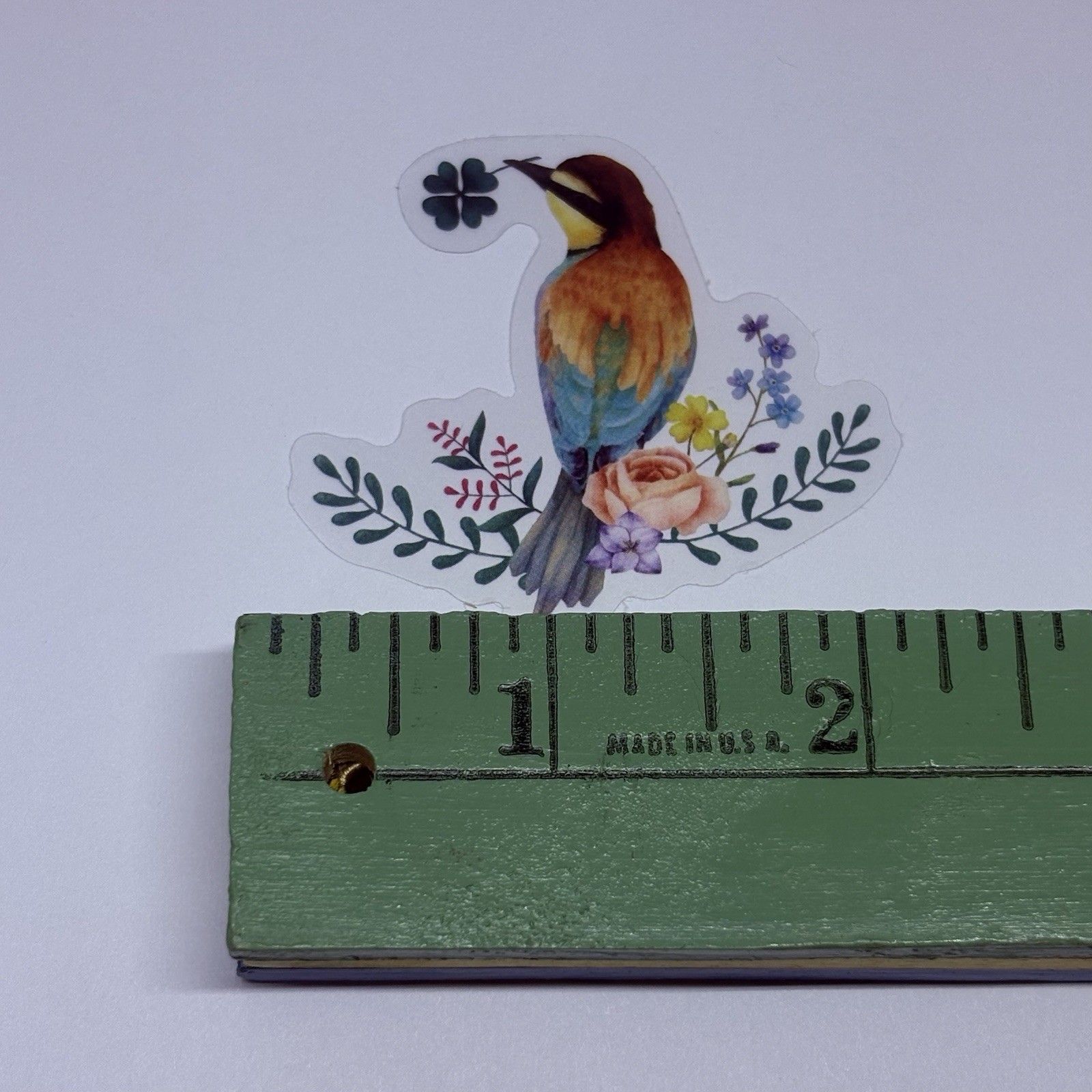 European Bee Eater Bird Sticker Animal Art Transparent Journal Decal Vinyl Tc6