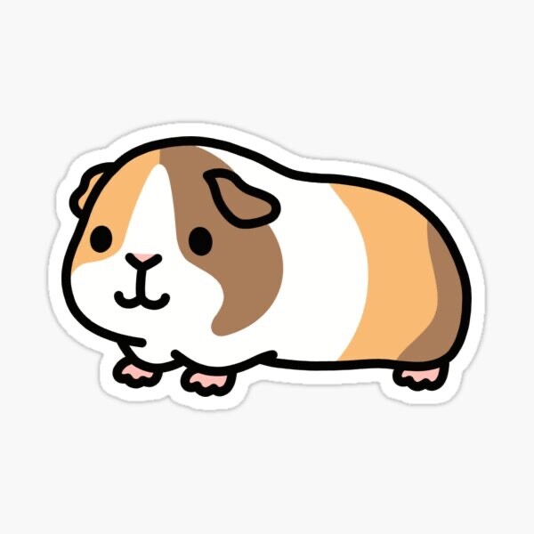Cute Guinea Pig Pet Lover Fluffy Vinyl Decal Sticker for Phone Laptop Bumper