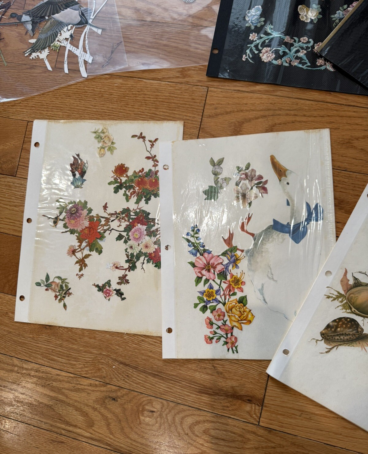 Decoupage Cutouts Vintage Floral Birds Animals People Vintage