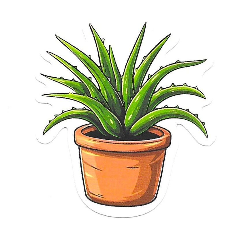Vinyl Sticker Die Cut Aloe Vera Decal Succulent Plant Medicine Journal Scrapbook