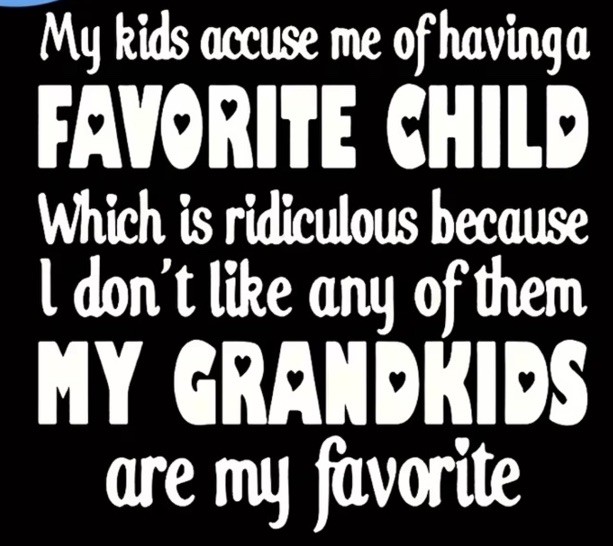 My Accuse Me Of Having A Favorite Child Grandkids Iron On Transfer Decal T Shirt