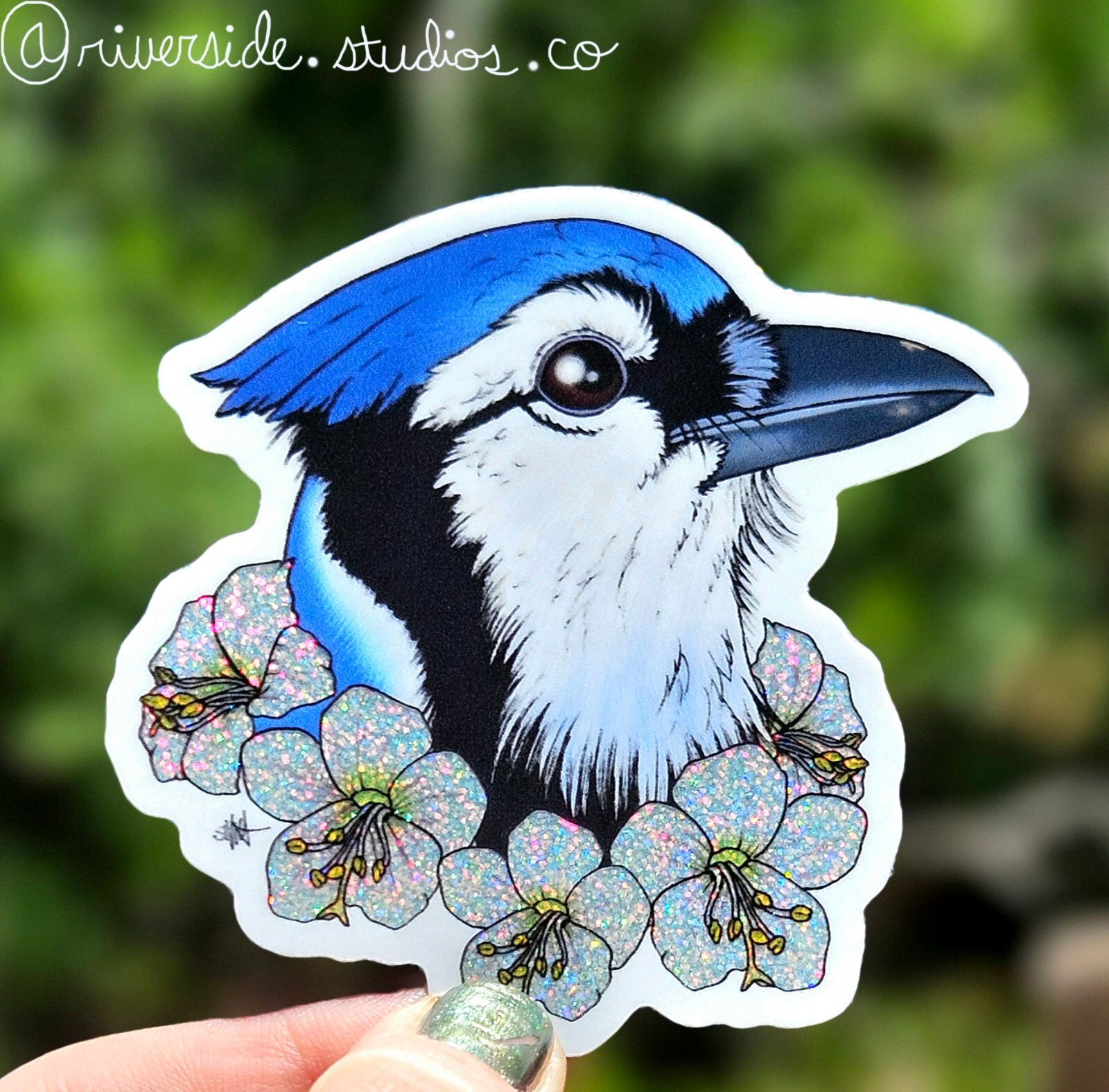 Blue Jay Vinyl Glitter Sticker 3" Original Art Colorado Animal Flower 