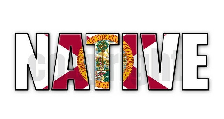 Florida Native Flag Stickers Florida Flag Decals Florida Flag Stickers