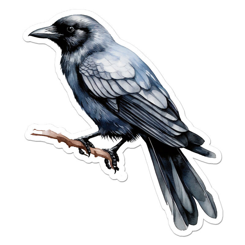 Crow Blackbird Raven, Vinyl Decal Sticker, Indoor Outdoor, 3 Sizes, #11598