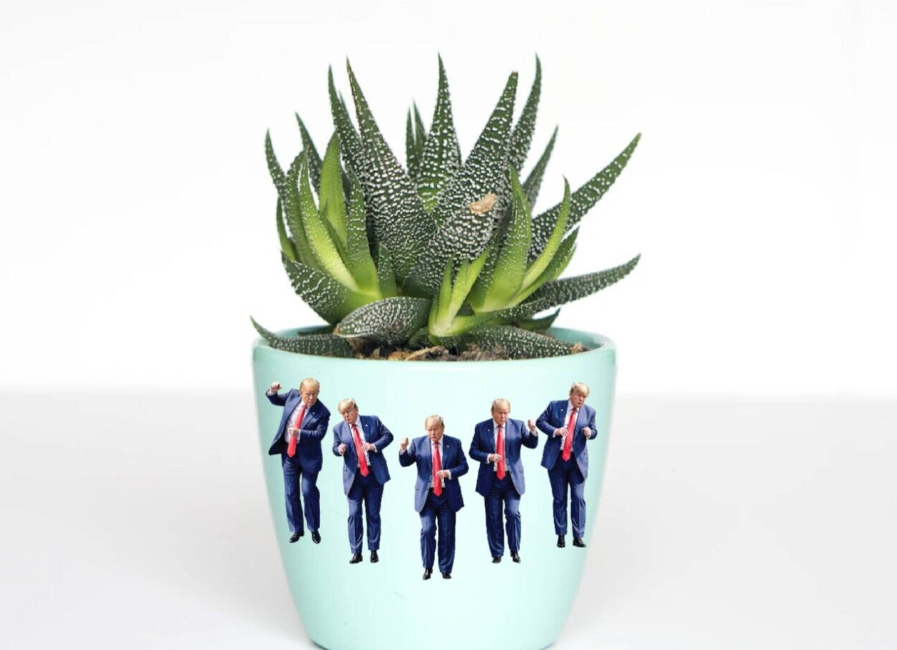 Trump Dancing Decal Sticker Set of6 MAGA Dance Victory Funny Political Gift 2024