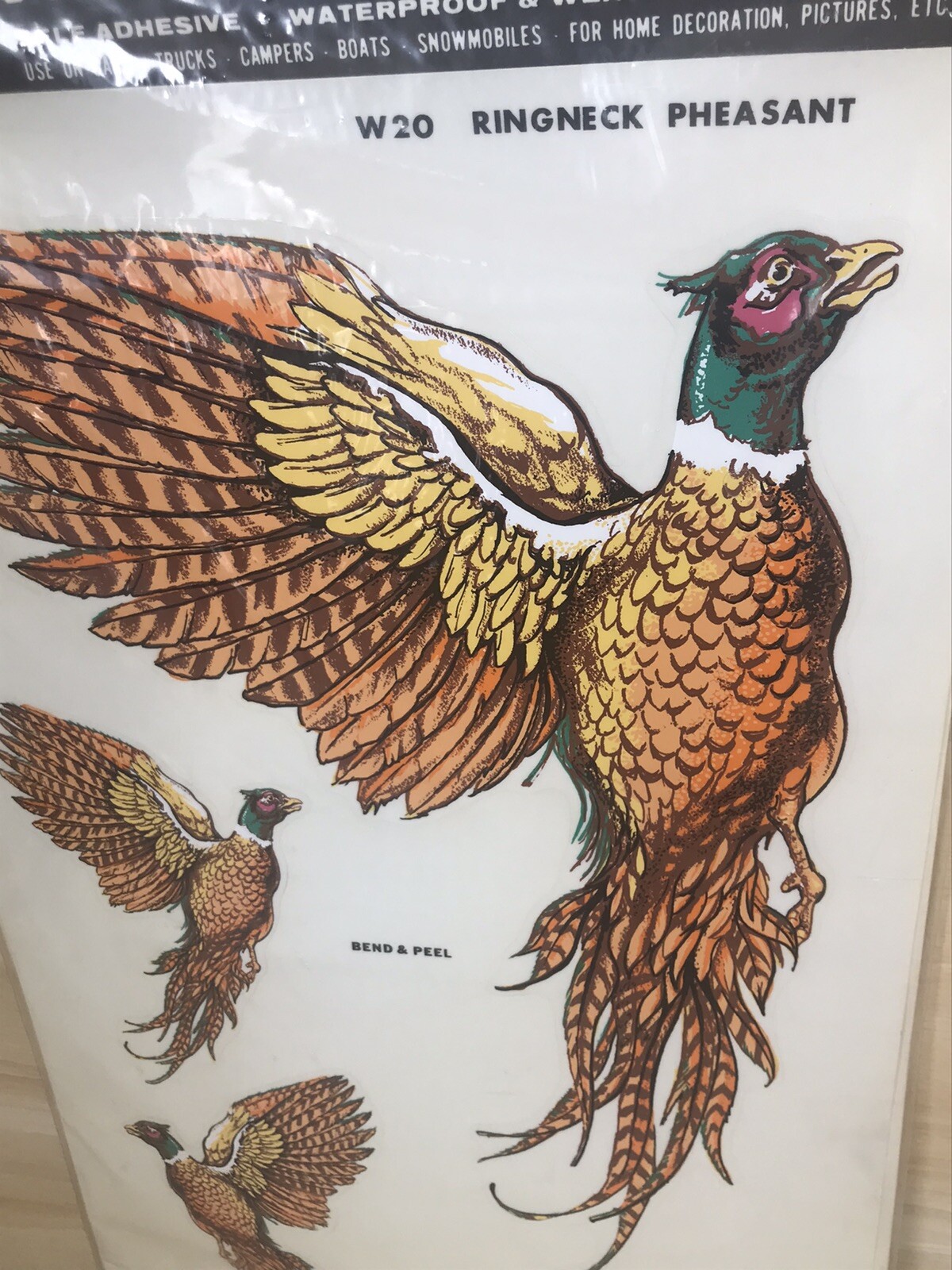Ringneck Pheasant Decals Hand Painted Sports And Wildlife Decorcal Vintage 1981