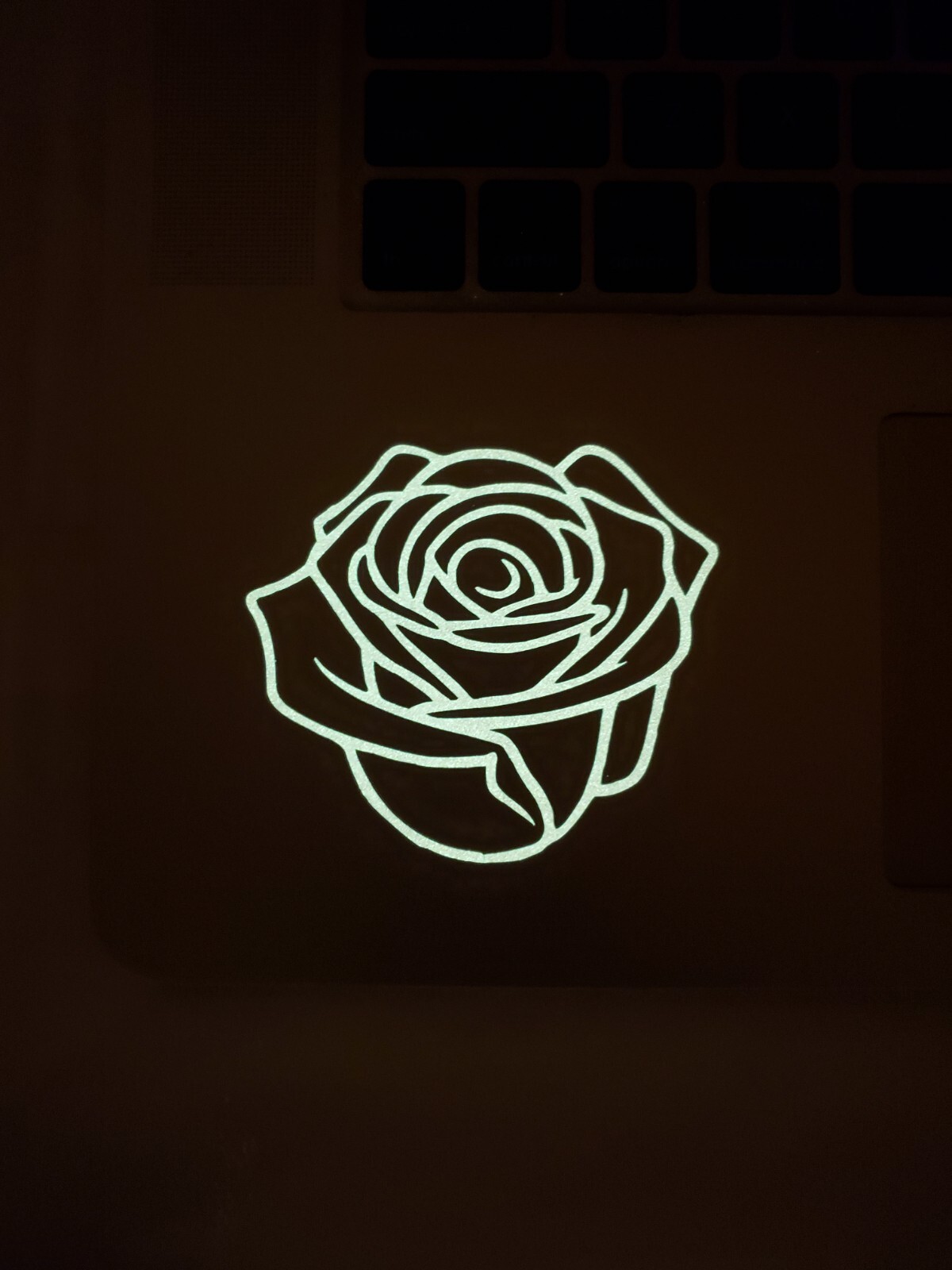 Glow In The Dark Pink Vinyl Decals Womens Mixed Lot Lit Studio Decor Full Sheet